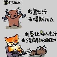 怦然心动奇妙漫画免费观看(怦然心动漫画为什么停更了)